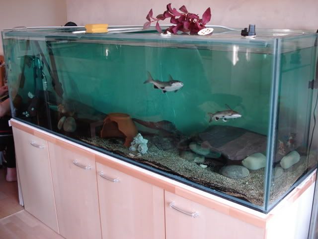 DSC01045-1.jpg