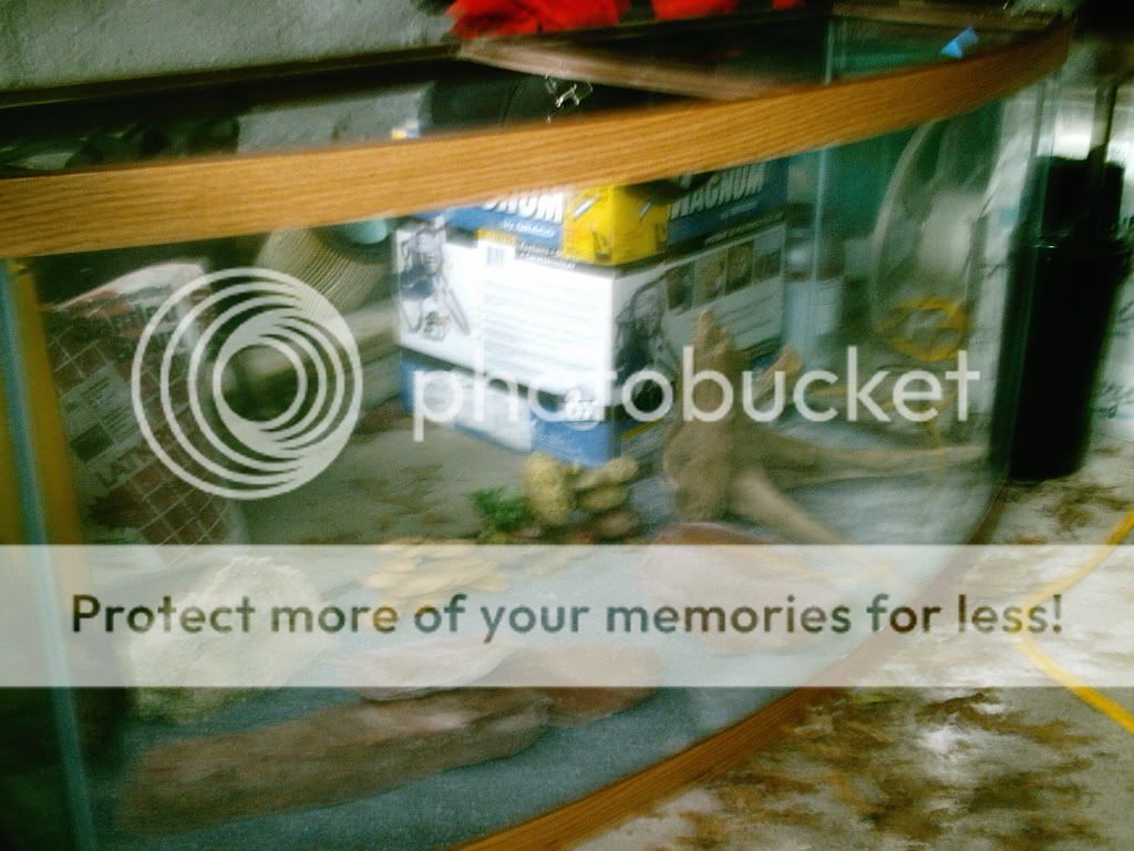 IMAG0008-1.jpg