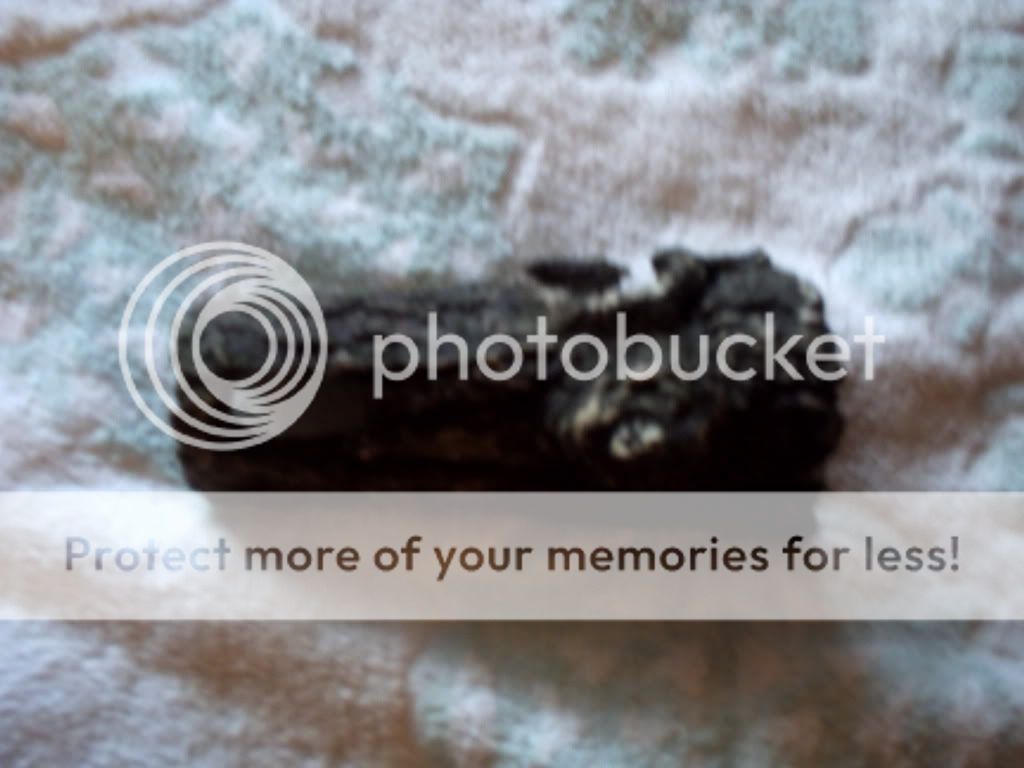 PICT0008.jpg