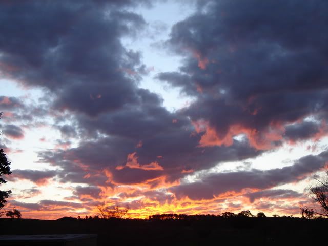 NewSunset6.jpg