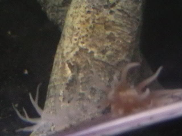 IMGA0066.jpg