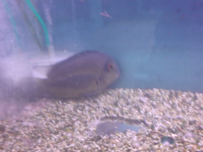 DSC01436.jpg