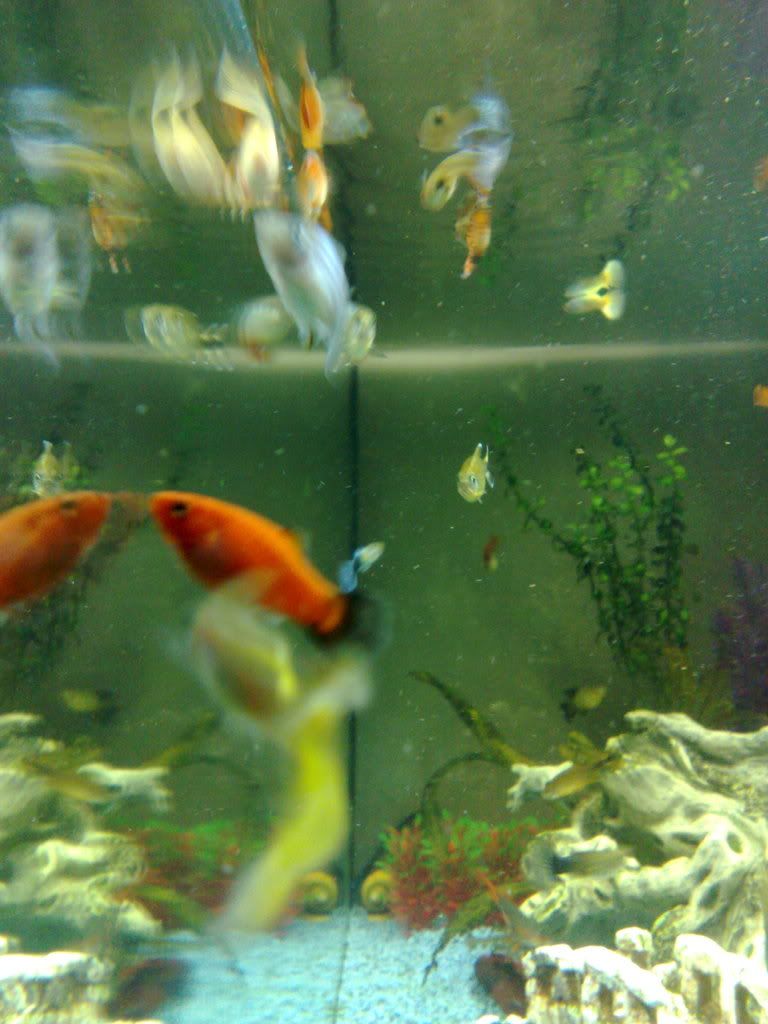 28042008015.jpg