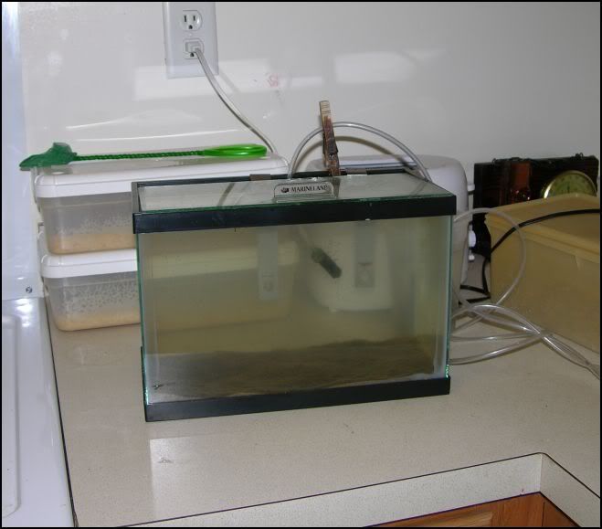 FishRoom7.jpg