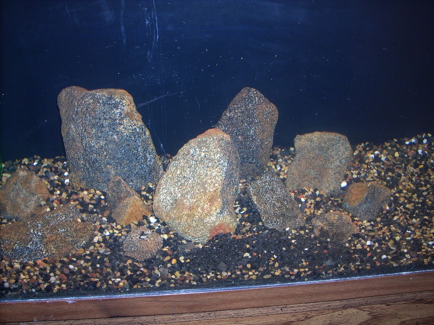 DSCN1840.jpg