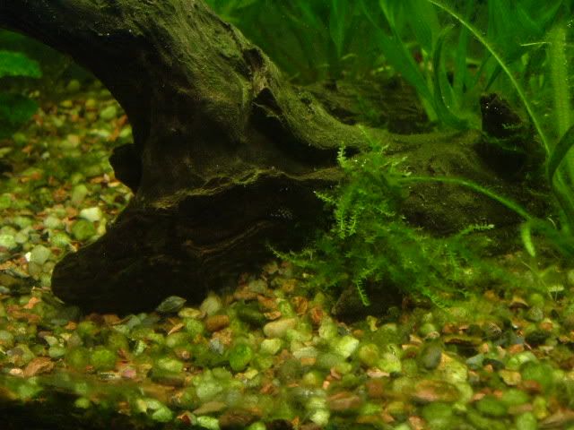 DSCF0579.jpg