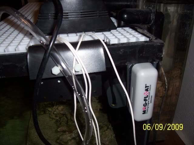 100_6569.jpg