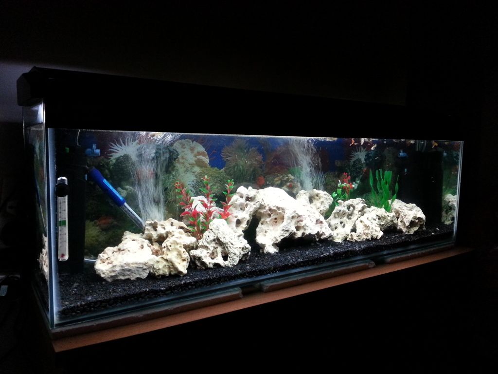 20120805_220623.jpg