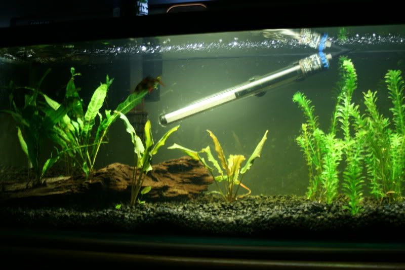 20g1month8.jpg