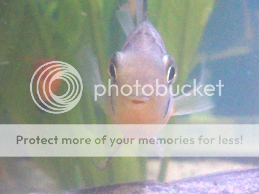 20042009176.jpg