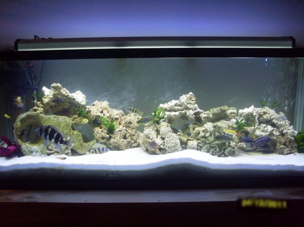 FullView2-1.jpg