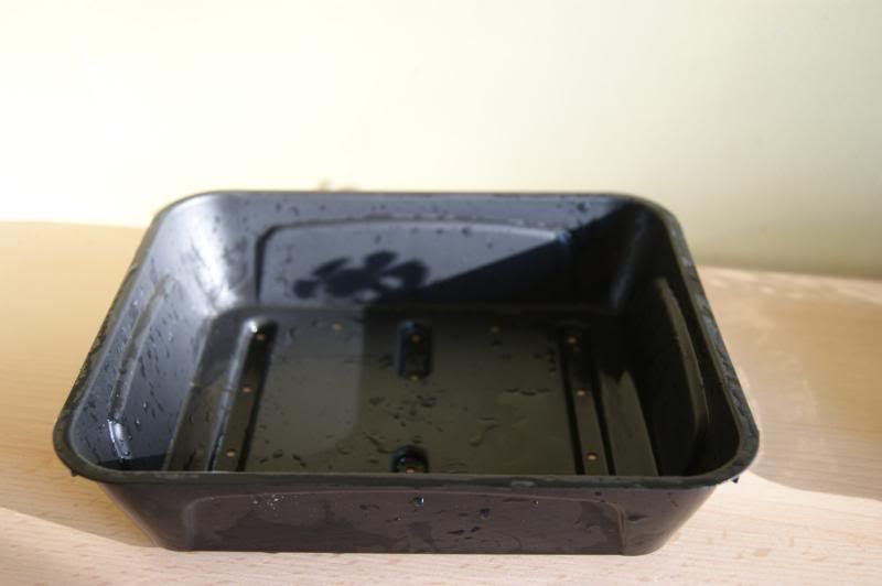 root7.jpg