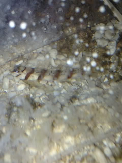 photo3-16.jpg