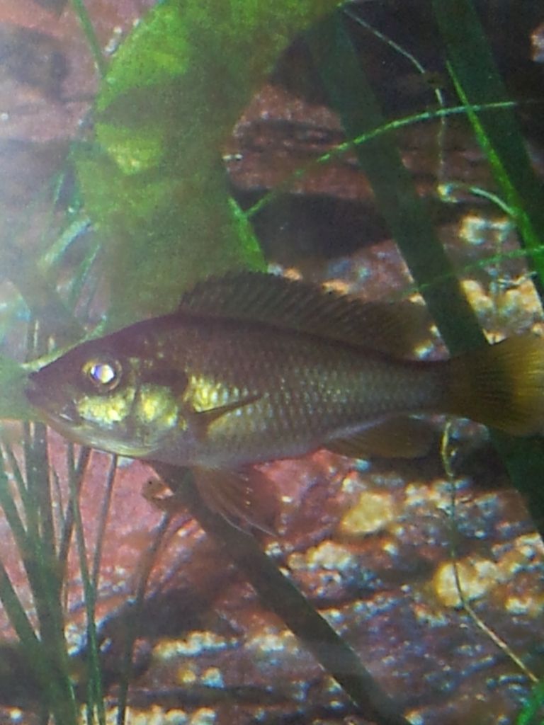 2012-09-19215137_zpsa0fa9735.jpg