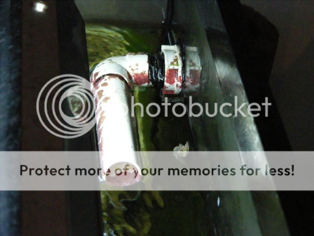 DSCF2793.jpg