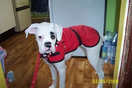 Picture211.jpg