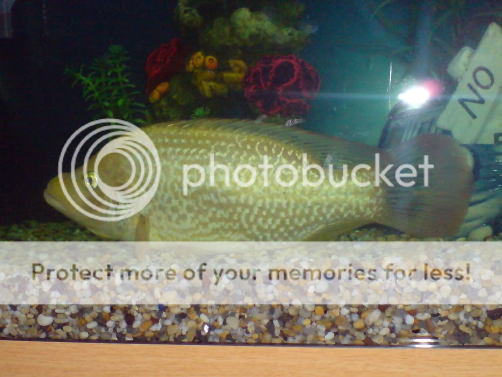DSC00200.jpg