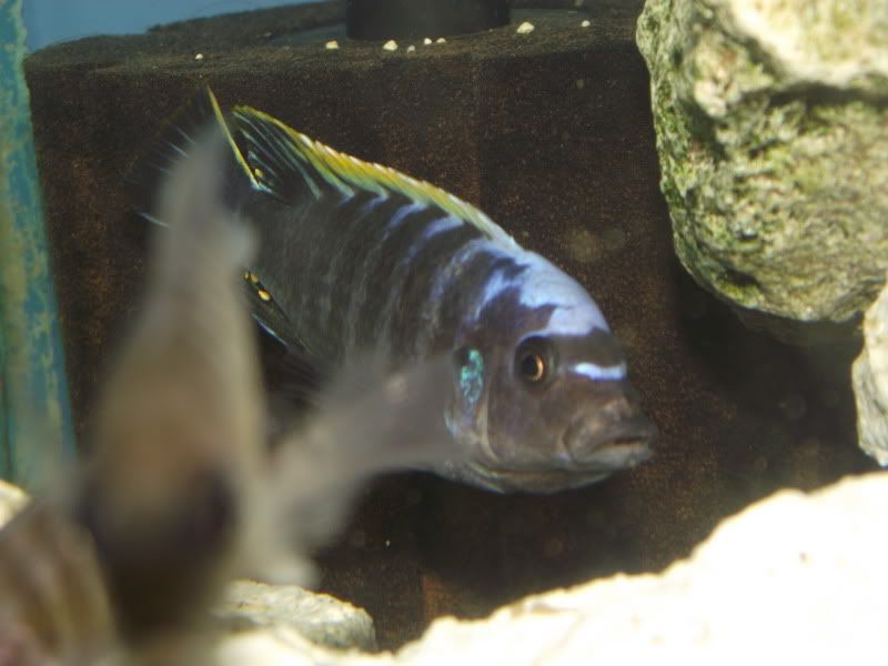 DSCF7253.jpg