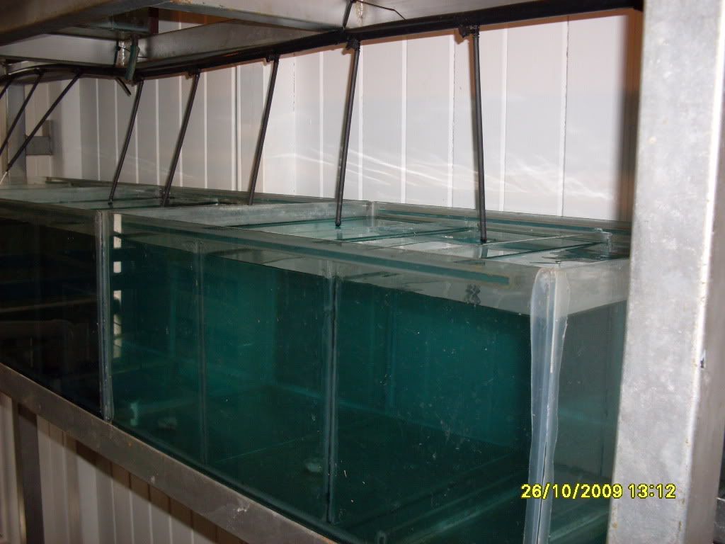 breederssetup2005.jpg