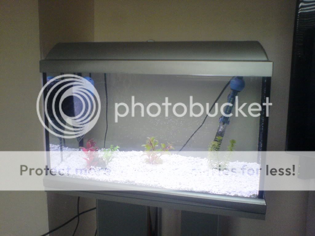 NewTank.jpg