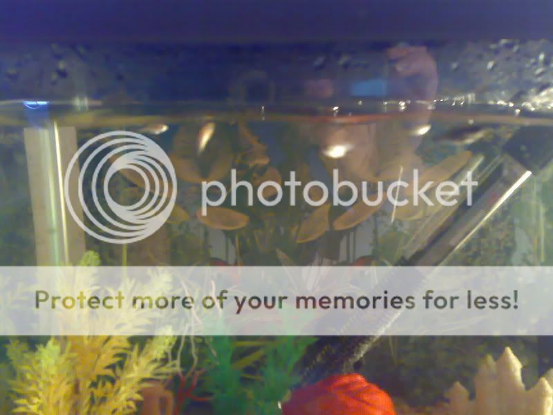 20092007658.jpg