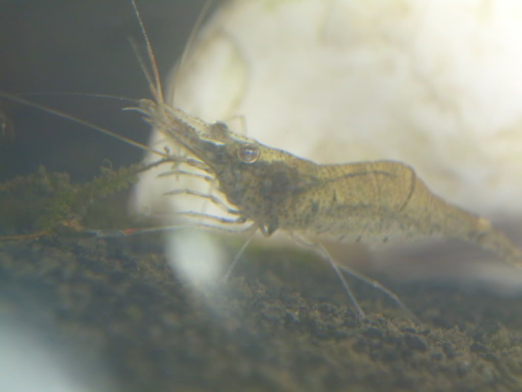 S7002528.jpg