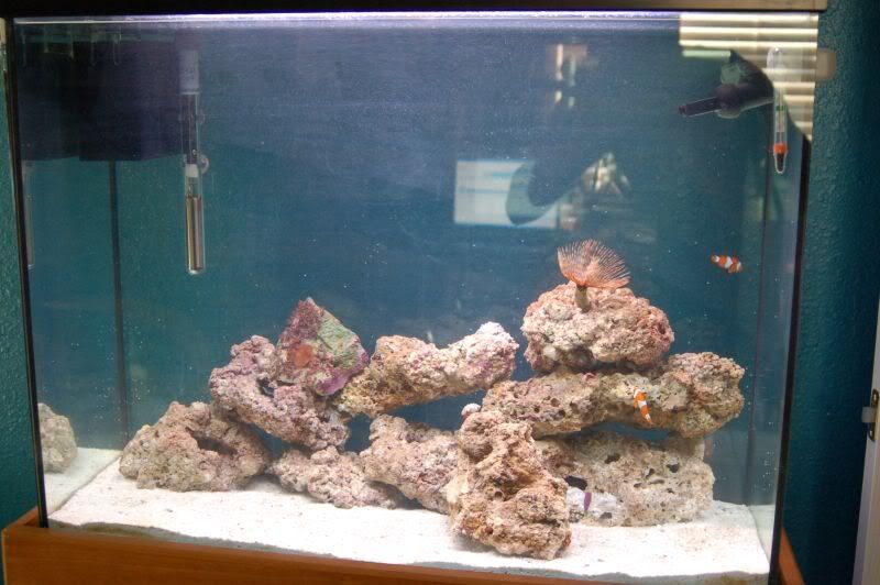 aquarium007-1.jpg