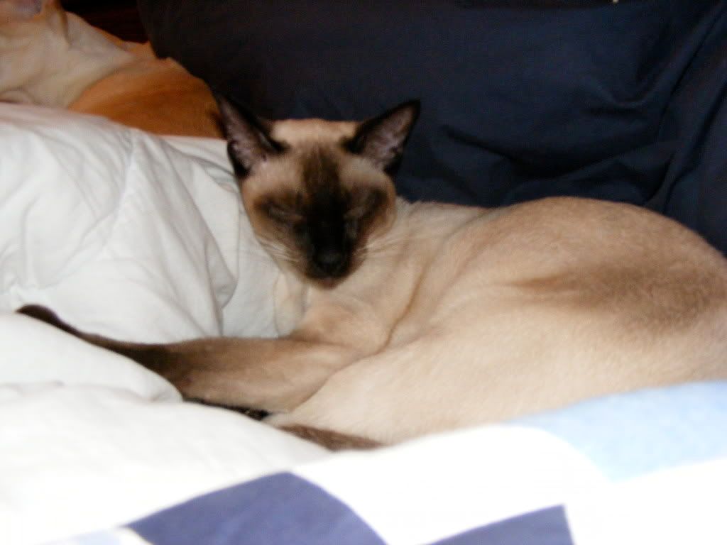 DSCF0223.jpg