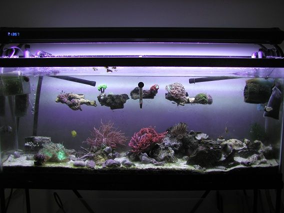 fts2.jpg