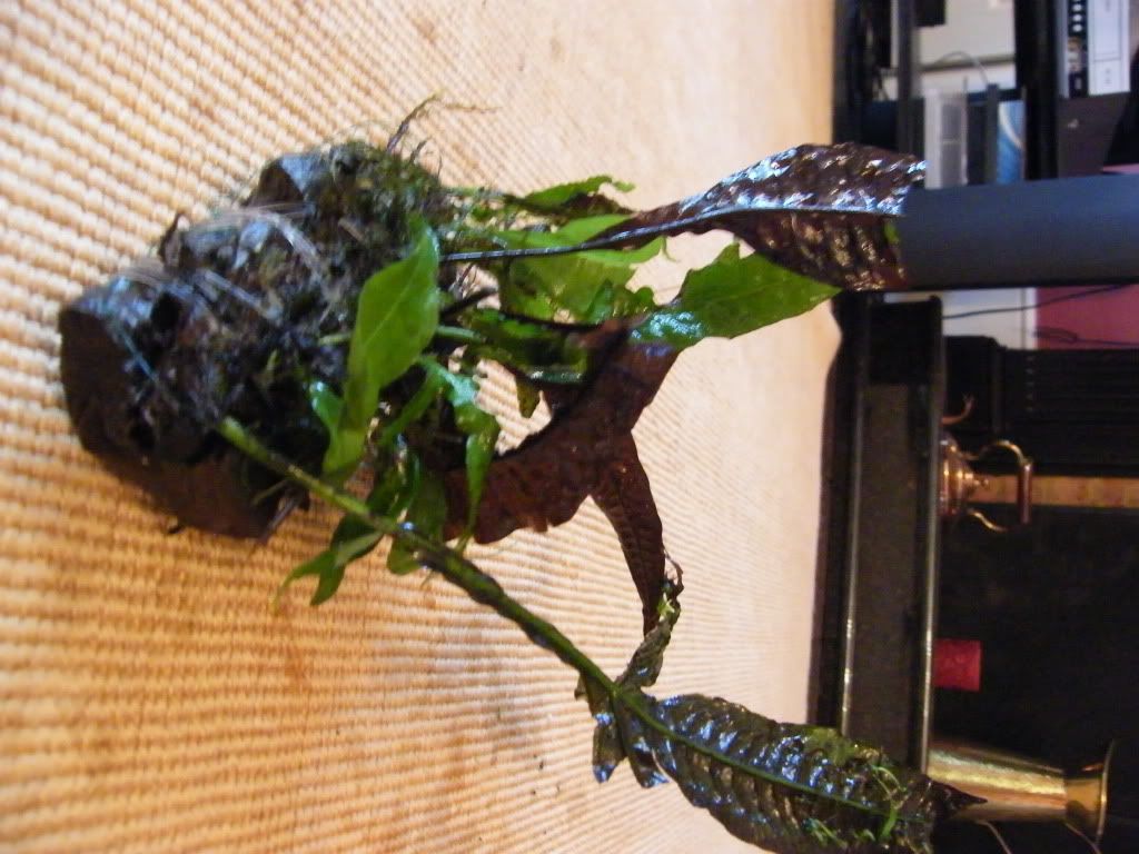 DSCF4893.jpg