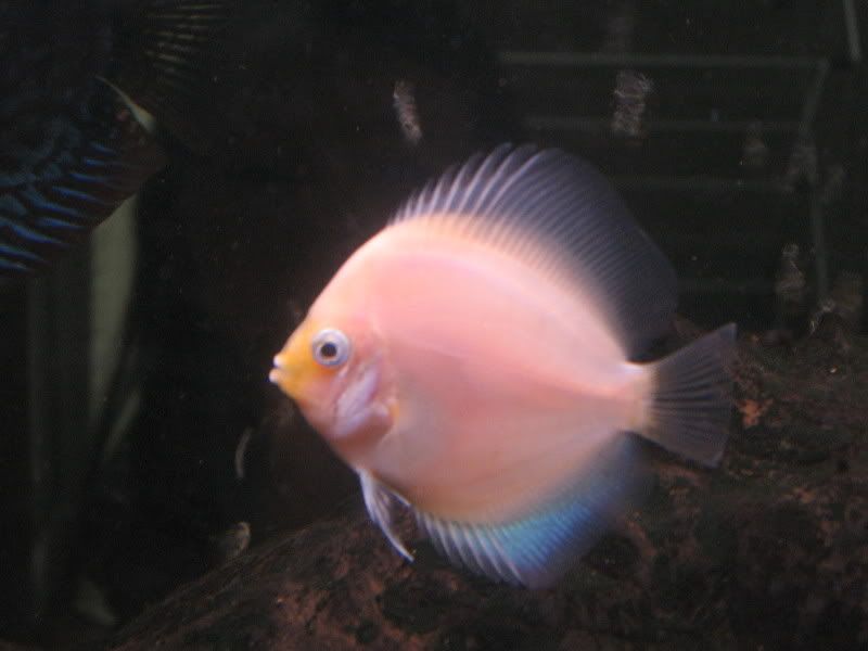 IMG_2675.jpg