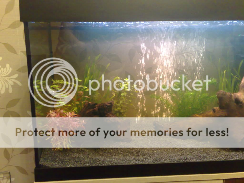 11032008205.jpg