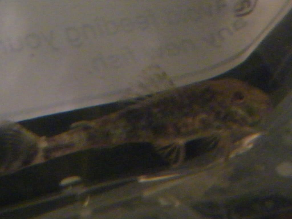 DSCF4340.jpg