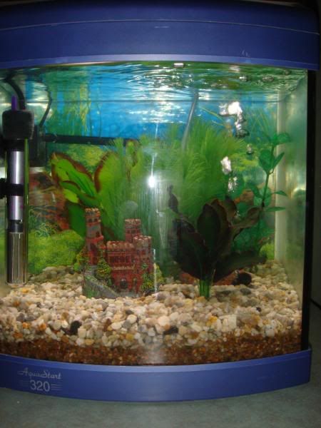 fish064.jpg