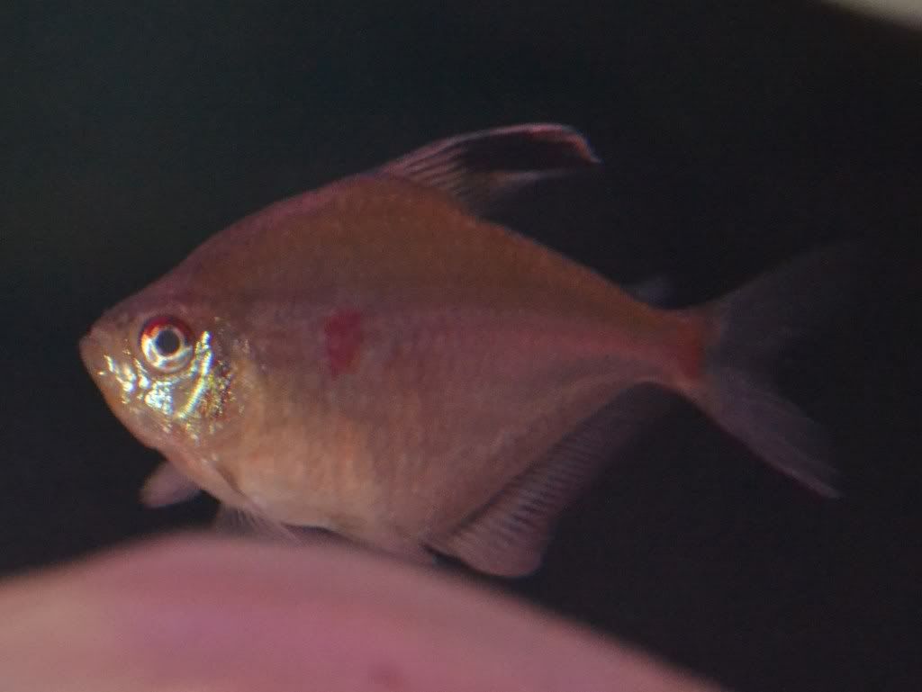 DSC_0109.jpg