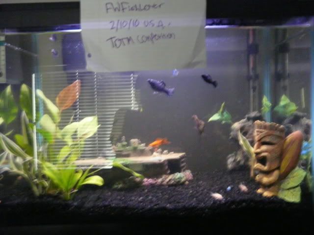 FWFishLoverMarchTOTM.jpg