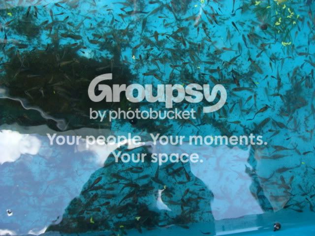 Fishexport001.jpg