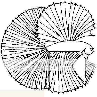 5f647147.jpg