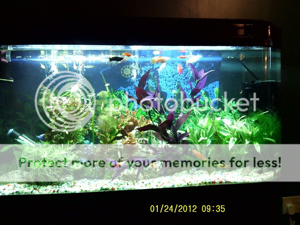 002-1.jpg