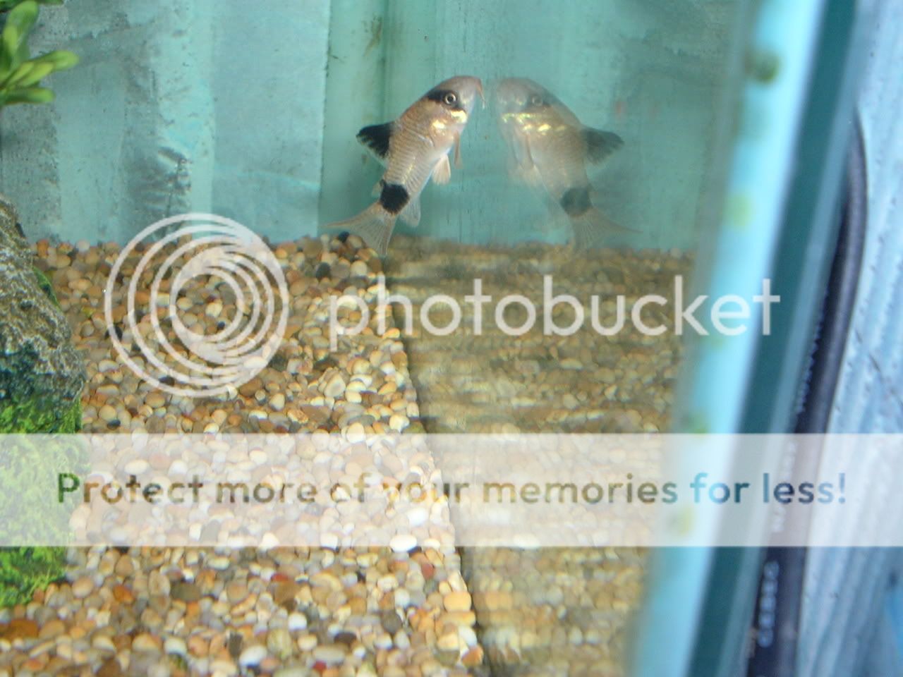 DSCF0834.jpg
