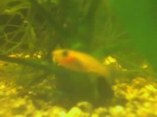 06-01-06_2218.jpg