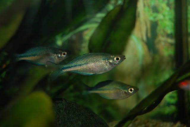 DSC_0548.jpg