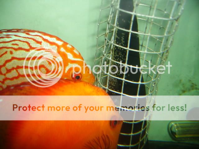 june07118.jpg