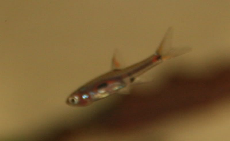 IMG_0797.jpg