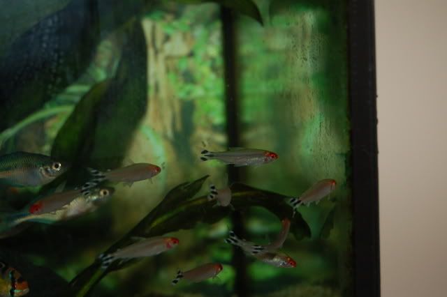 DSC_0542.jpg