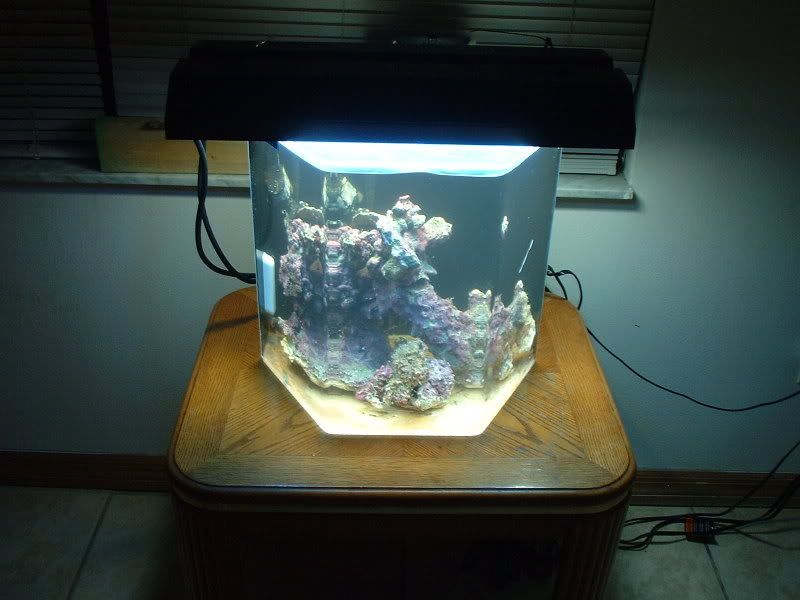 DSCF0004-7.jpg