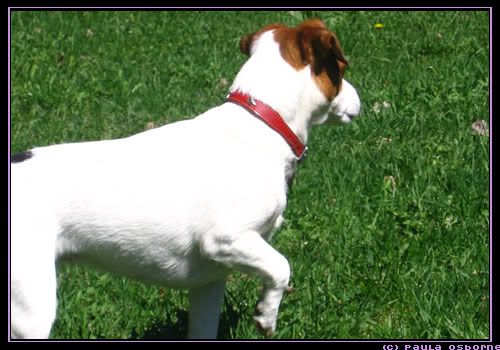 lexi01.jpg