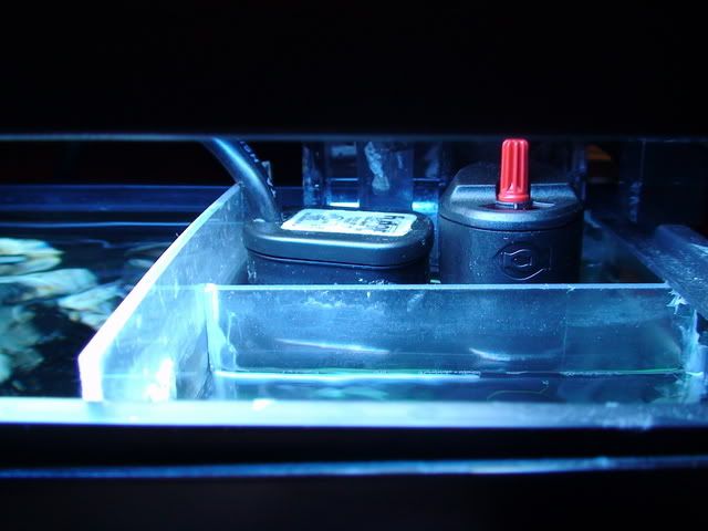 DSC01005.jpg