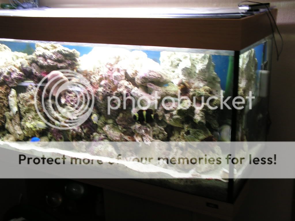 PICT0260.jpg