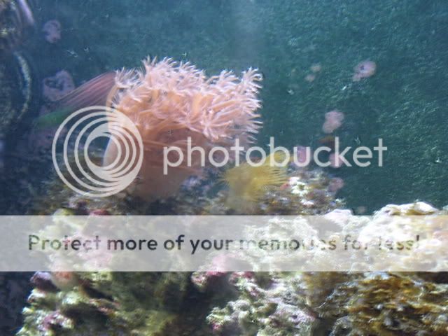 fishtanks011.jpg